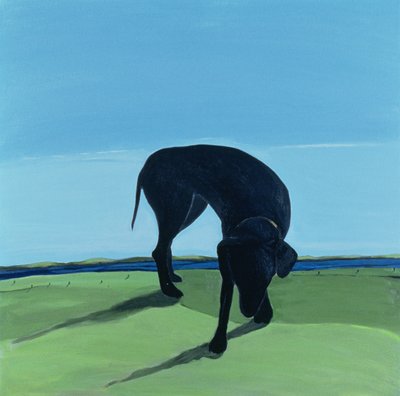 Il Cane Nero di Joe, 1996 da Marjorie Weiss